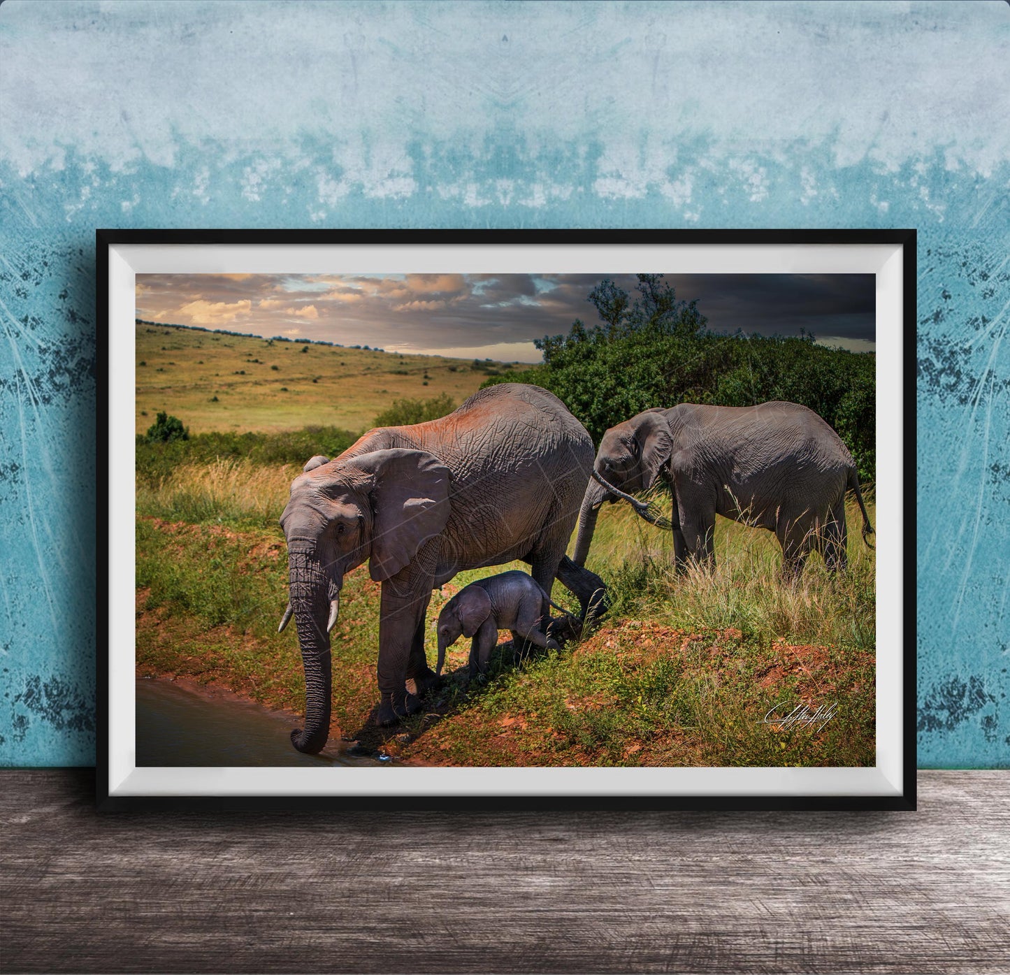 A framed photograph depicting a family of elephants in a natural setting, with a baby elephant standing in the grass near the adult elephants.