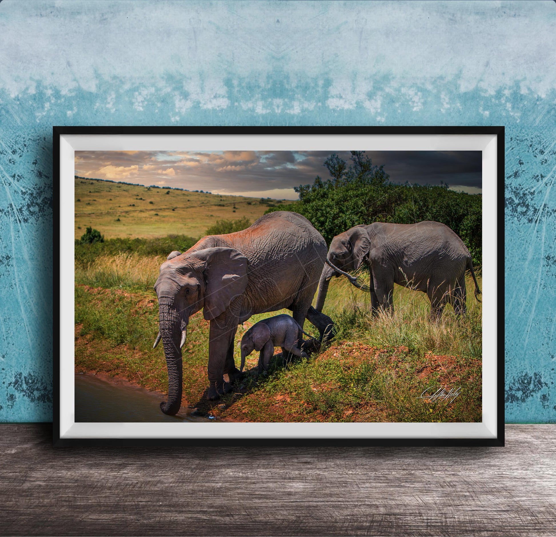 A framed photograph depicting a family of elephants in a natural setting, with a baby elephant standing in the grass near the adult elephants.