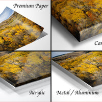 The image is a collage of four different images, each depicting a landscape with a mountainous background and trees in various shades of yellow. The images are labeled as "Premium Paper", "Canvas Wrap", "Acrylic", and "Metal/Aluminum" to describe the materials used for the prints.
