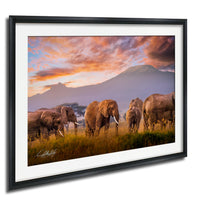 A group of elephants walking through a grassy field with mountains in the background, under a colorful sunset sky.