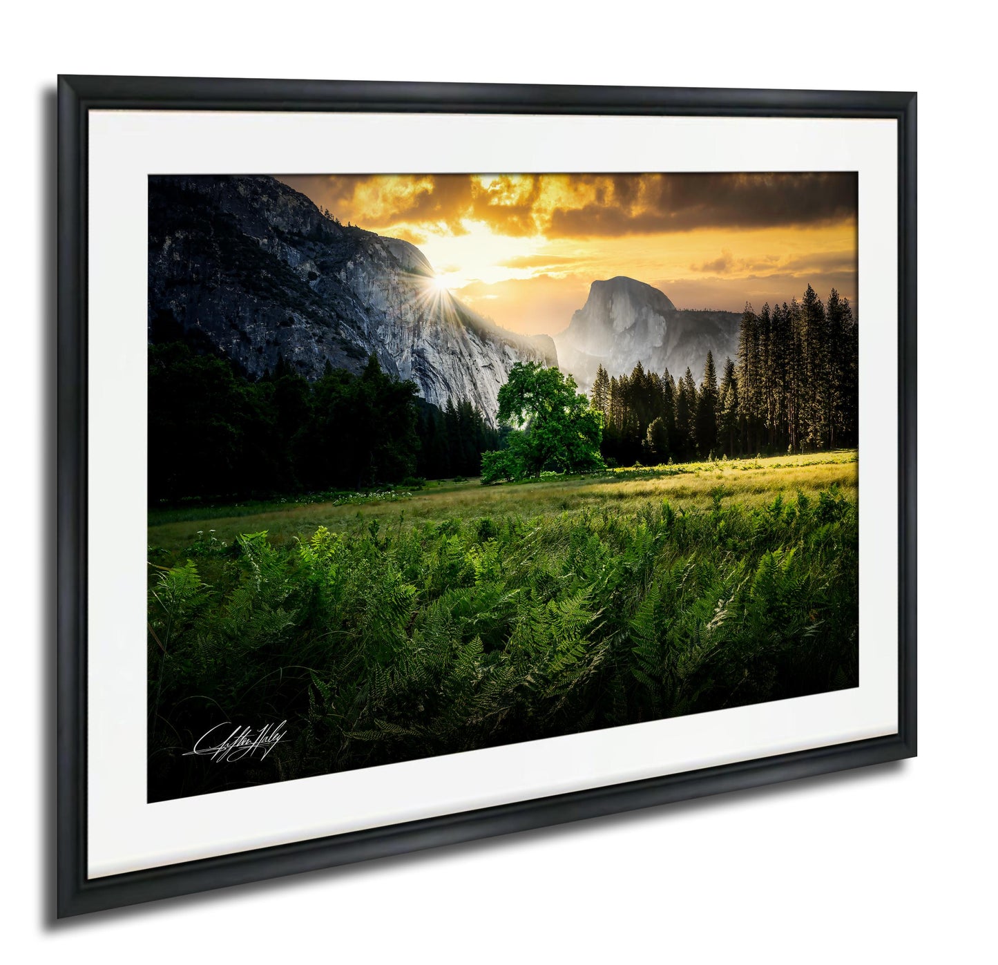 a serene landscape with a mountain range in the background, a lush green field in the foreground, and a tree in the middle ground. The sun is setting behind the mountains, casting a warm glow over the scene.