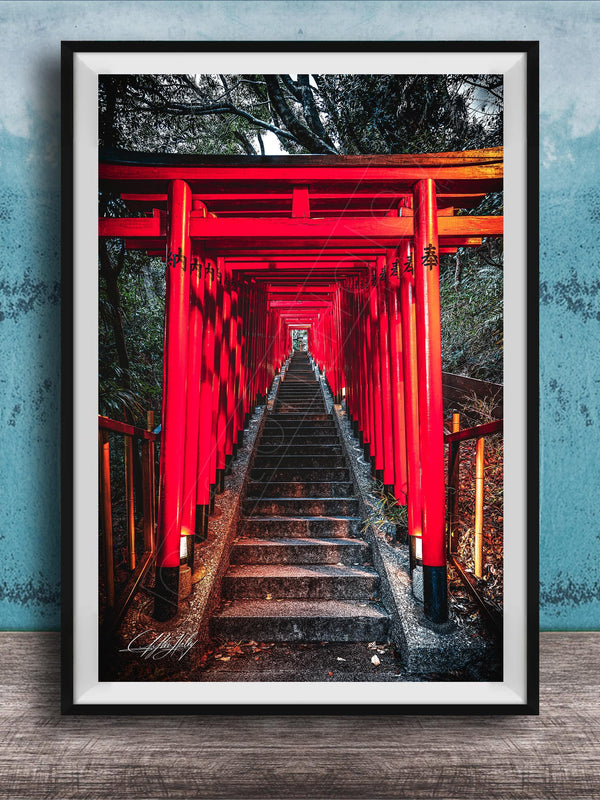 A framed photograph depicting a long, narrow red torii gate leading down a set of stairs, surrounded by lush greenery.