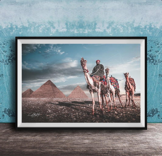 A framed photograph depicting a camel caravan in front of the iconic pyramids of Giza in Egypt.