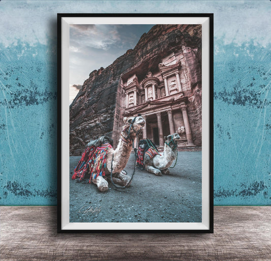 A framed photograph of two camels in front of a large, ancient building with a carved facade, set against a blue wall.