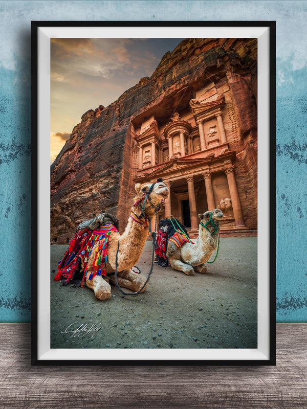 A framed photograph of two camels in front of a large, ancient building with a carved facade, set against a backdrop of a cloudy sky.