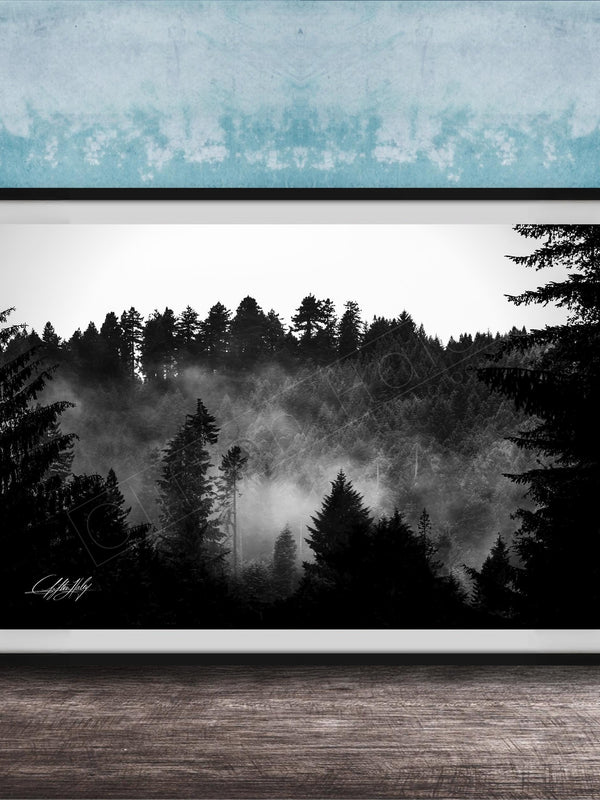 A black and white photograph of a forest landscape with misty mountains in the background.