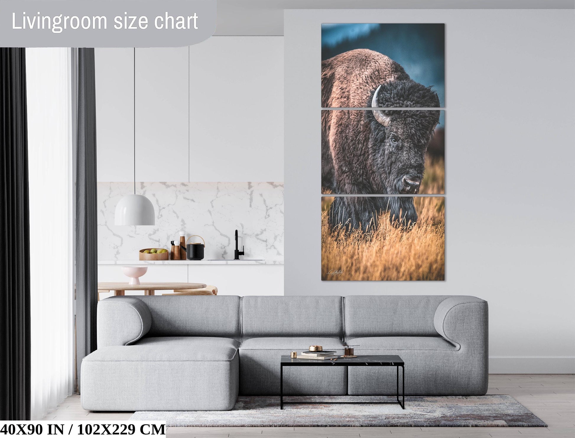 The image is a living room with a gray sofa, a coffee table, and a large wall art depicting a bison in a field.