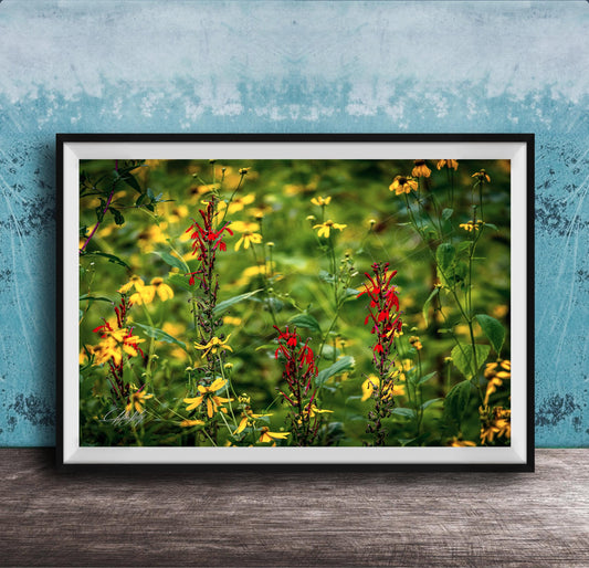 A framed photograph of a vibrant field of yellow and red flowers, with a blue wall in the background.