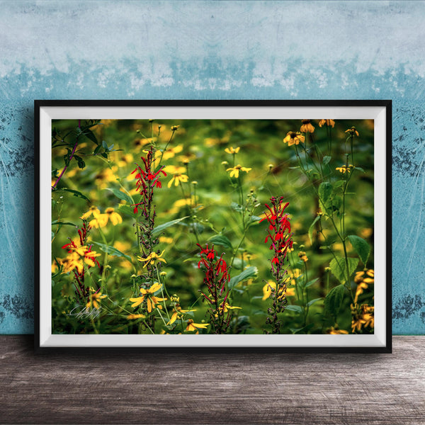A framed photograph of a vibrant field of yellow and red flowers, with a blue wall in the background.