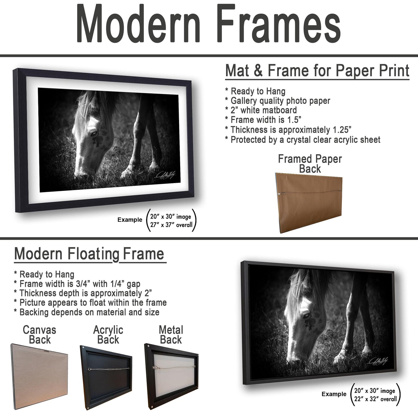 The image is a product advertisement for modern frames, showcasing different frame options for paper print and floating frame backings.