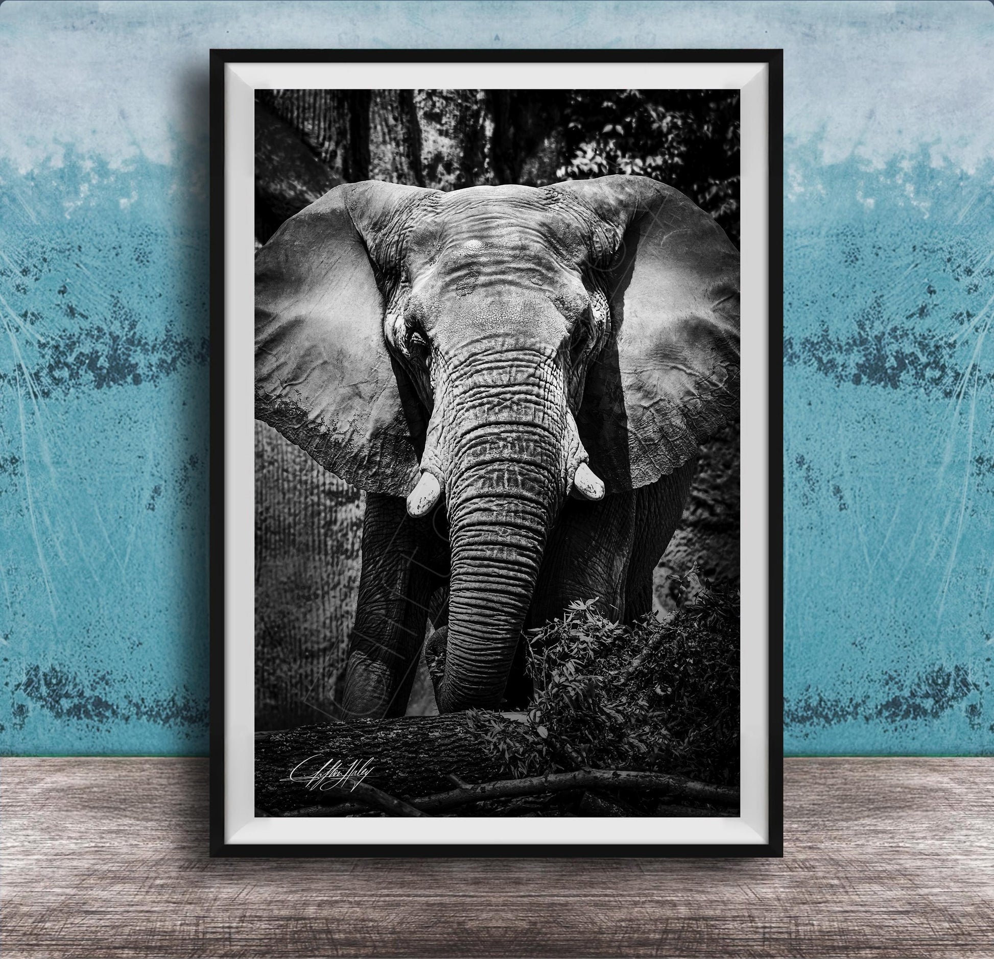 A black and white photograph of an elephant standing in front of a tree, with its large ears and trunk prominently featured.