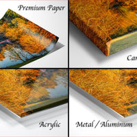 The image is a collage of four different images, each depicting a landscape with trees and a body of water. The images are labeled as "Premium Paper", "Canvas Wrap", "Acrylic", and "Metal/Aluminum".