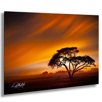 A lone tree silhouetted against a vibrant orange and yellow sunset sky, creating a serene and tranquil atmosphere.