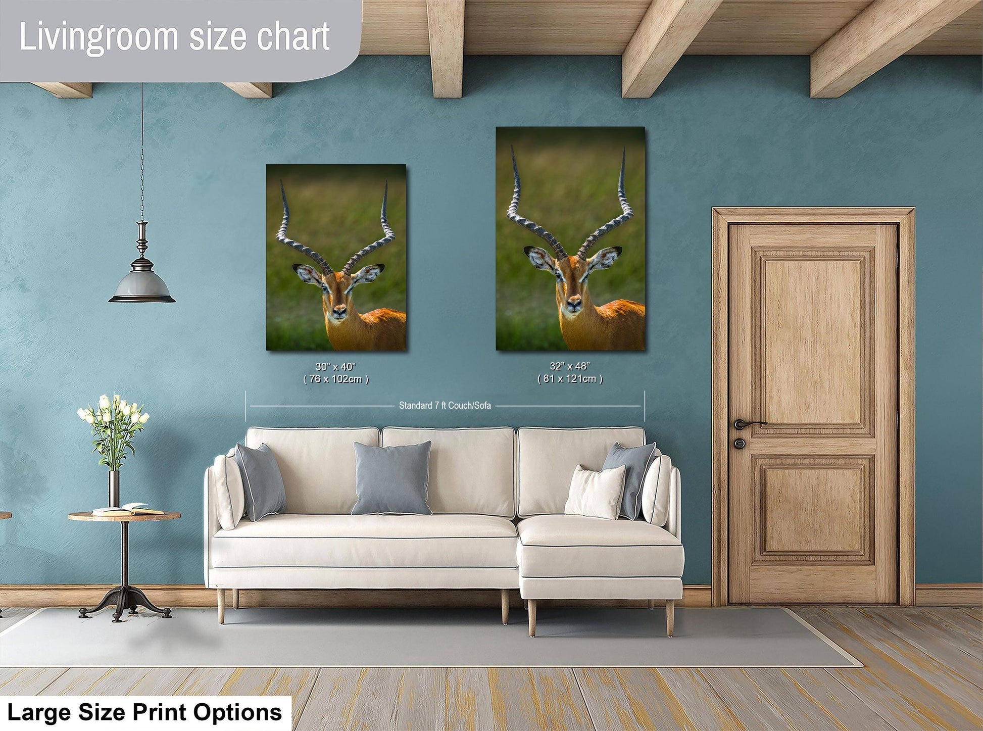 a living room with a white sofa, a wooden door, and two framed photographs of a gazelle on the wall.