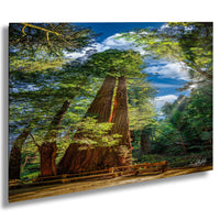 A large, ancient tree with a thick trunk and numerous branches dominates the scene, surrounded by lush greenery and sunlight filtering through the canopy.