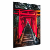 A long, narrow path lined with red torii gates leading down to a set of stairs, surrounded by trees and foliage.
