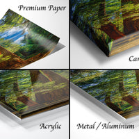 The image is a collage of four different types of photo prints, including a premium paper print, a canvas wrap, an acrylic print, and a metal/aluminum print.