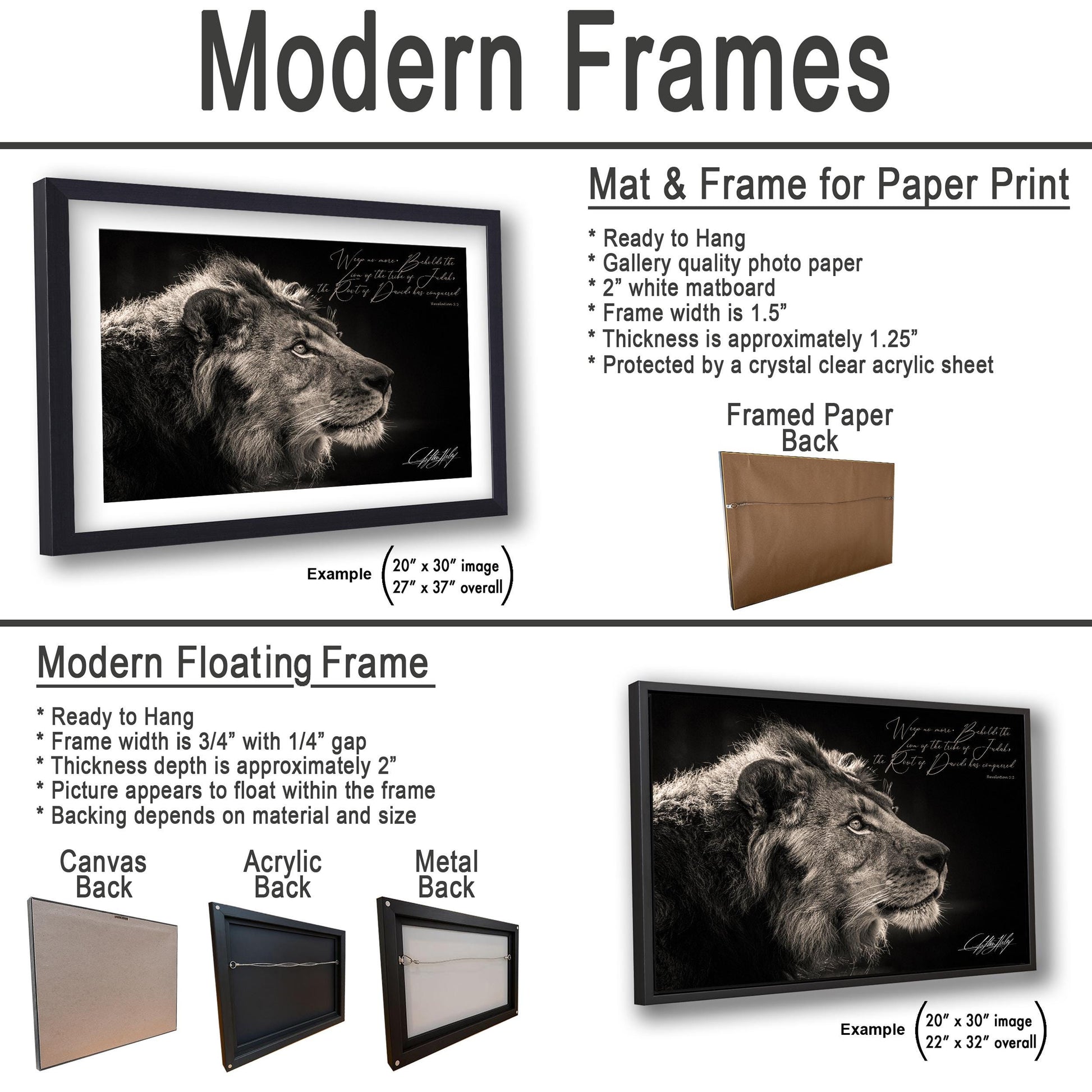 The image is a product advertisement for modern frames, showcasing different frame options for paper print and floating frame backings.