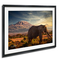 A large elephant stands in a grassy field, with a majestic mountain range in the background under a dramatic sky.
