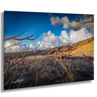 a vast, arid landscape with dry, brown vegetation and rocky formations under a blue sky with white clouds.