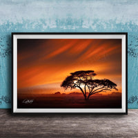 A framed photograph depicting a lone tree silhouetted against a vibrant sunset sky.