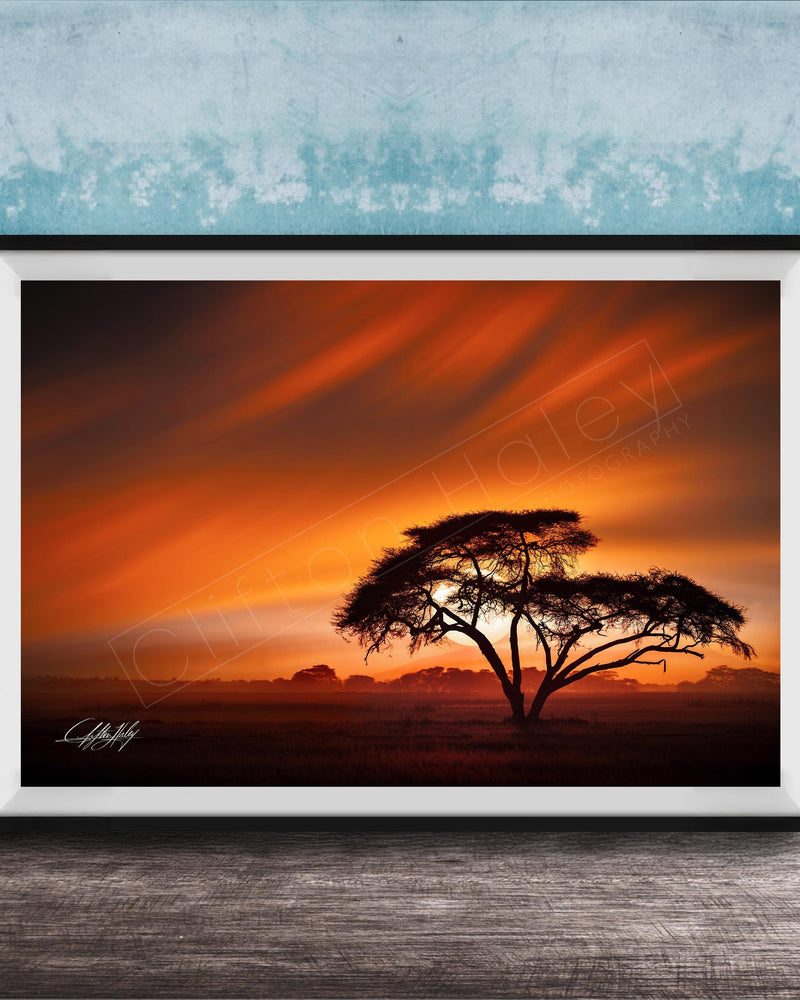 A framed photograph depicting a lone tree silhouetted against a vibrant sunset sky.