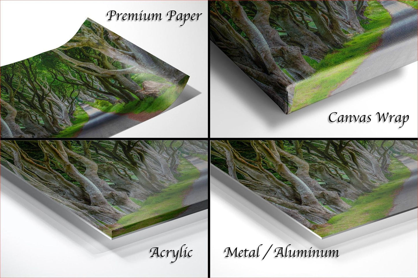 The image is a collage of four different views of a tree-covered forest, each with a different finish: "Premium Paper", "Canvas Wrap", "Acrylic", and "Metal/Aluminum".