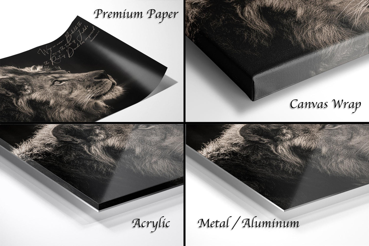 The image is a collage of four different views of a lion's face, each with a different finish: premium paper, canvas wrap, acrylic, and metal/aluminum.