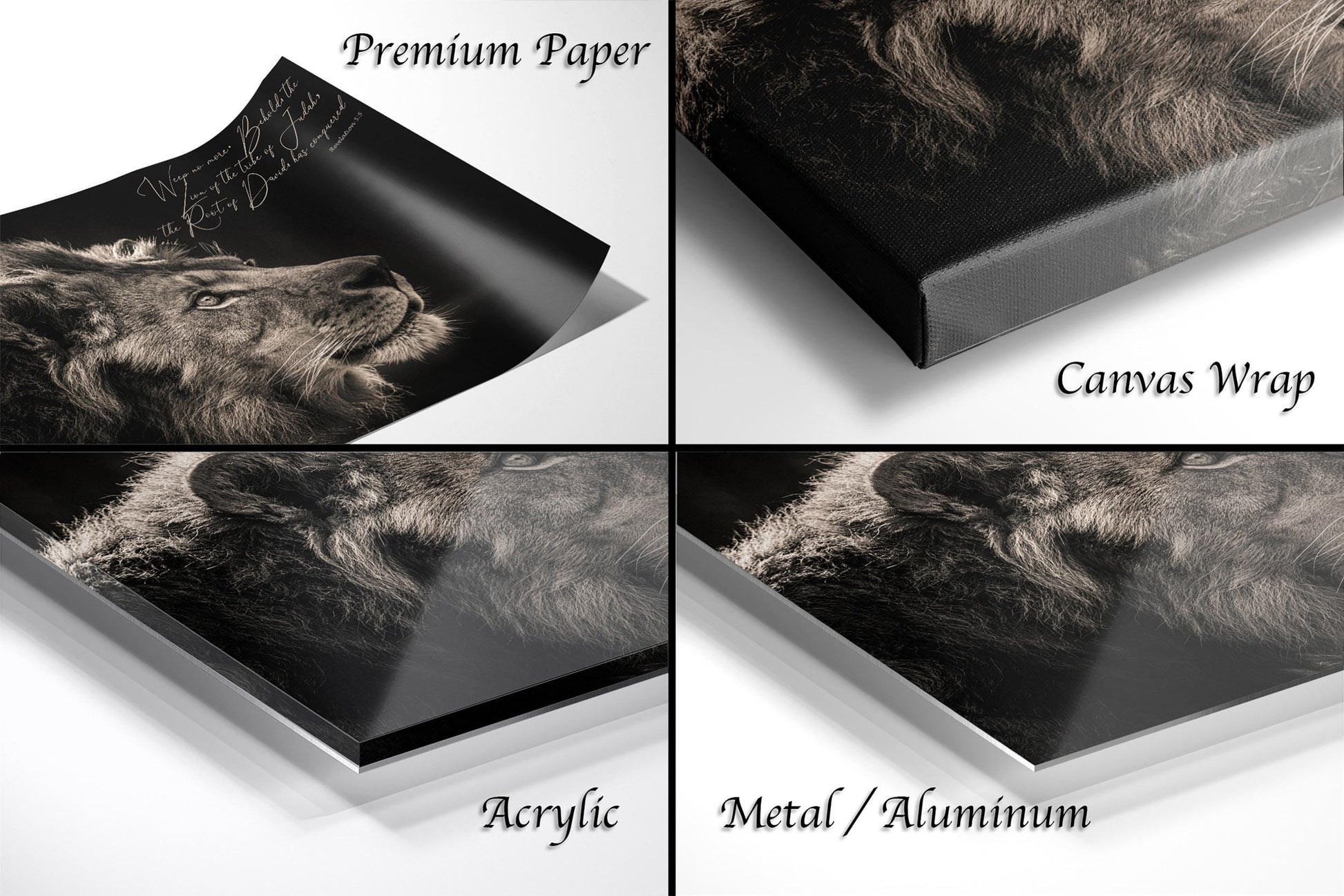 The image is a collage of four different views of a lion's face, each with a different finish: premium paper, canvas wrap, acrylic, and metal/aluminum.