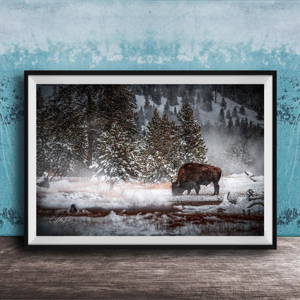 A large framed photograph depicting a bison grazing in a snowy forest landscape.