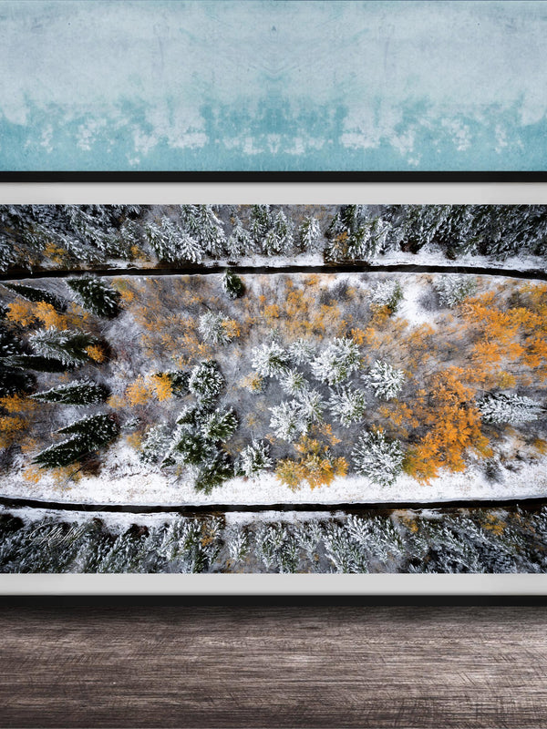 The image is a framed aerial view of a snowy forest landscape with trees covered in snow and some displaying autumn colors.