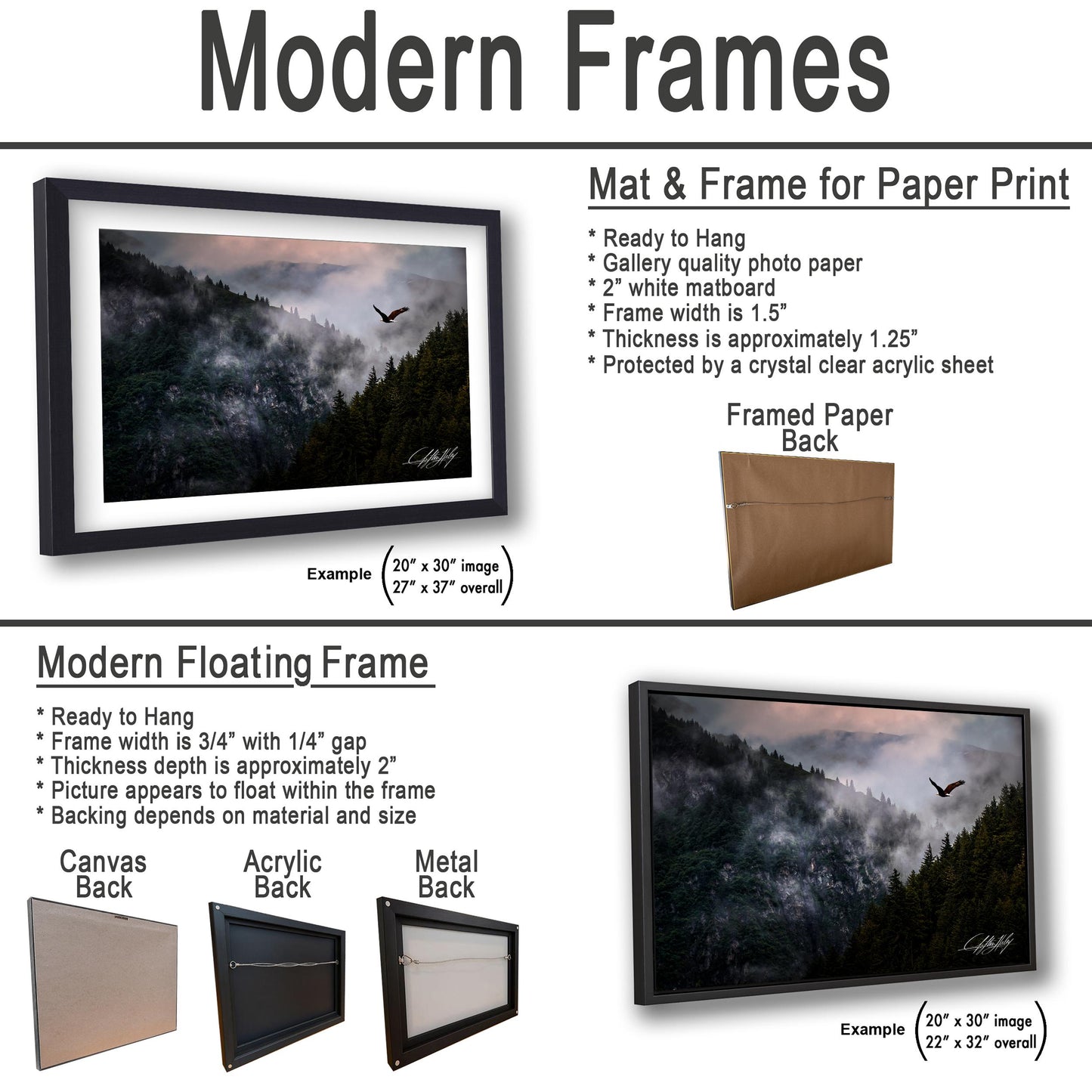 a picture of a mountain with clouds and birds