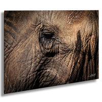 A close-up photograph of the eye of an elephant, showcasing its intricate texture and depth.