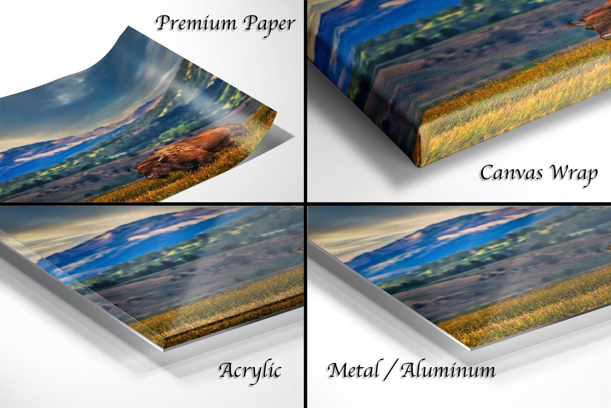 The image is a collage of four different views of a landscape, including a close-up of a landscape, a printed canvas wrap, an acrylic print, and a metal/aluminum print.