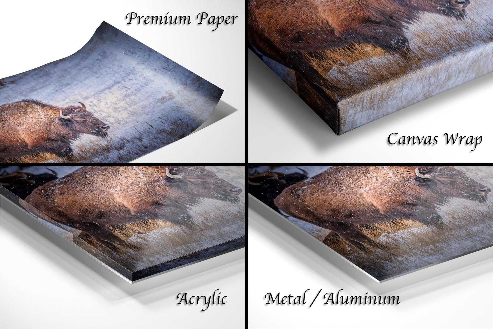 four different images of a bear on a canvas