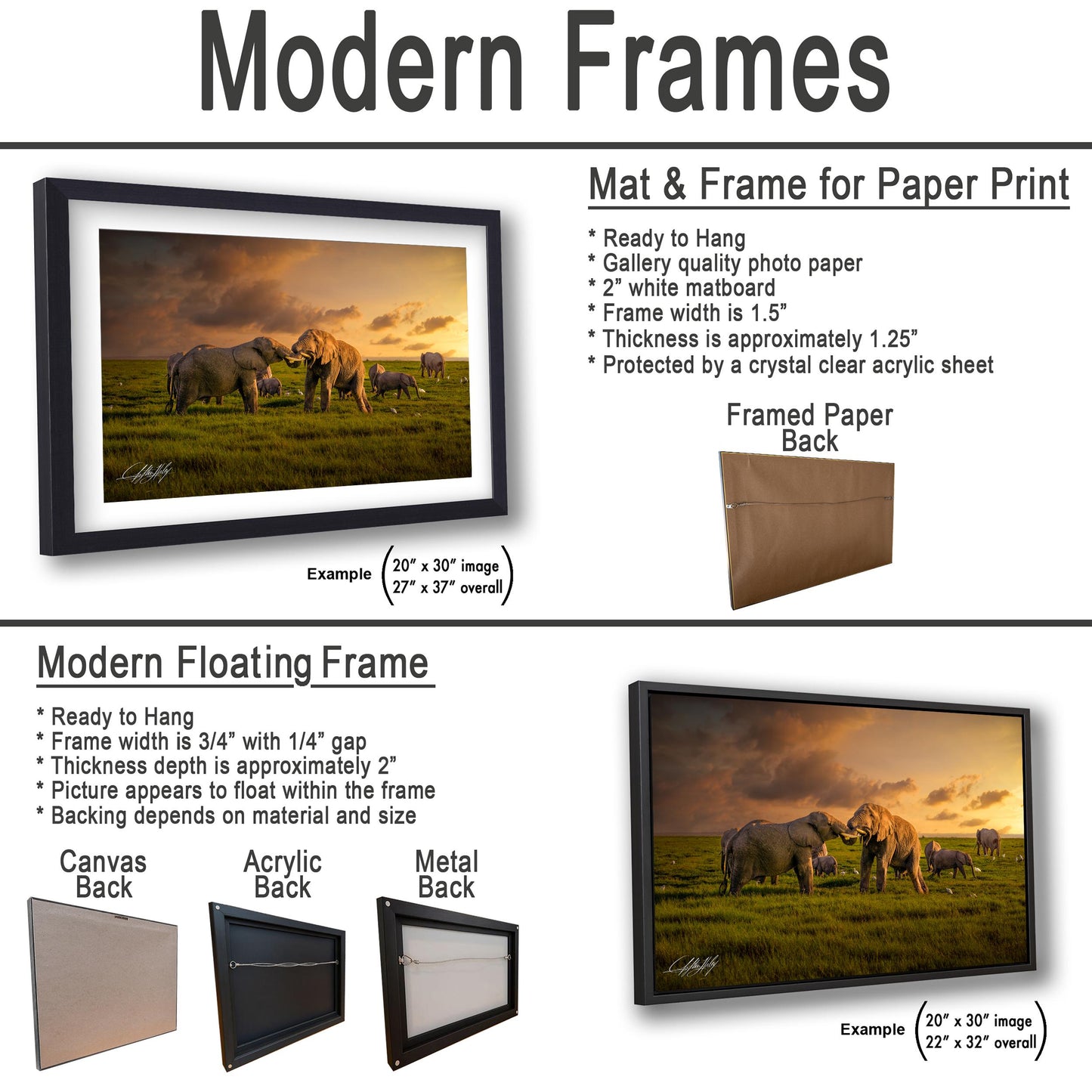 a picture of a group of elephants in a field