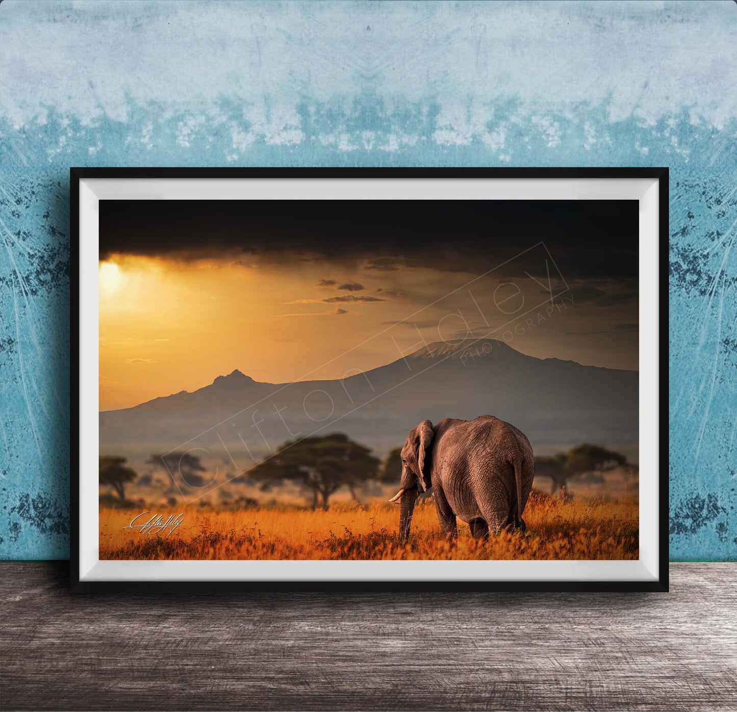 A large elephant stands in a field of tall grass, with a mountain range visible in the background under a dramatic sky.