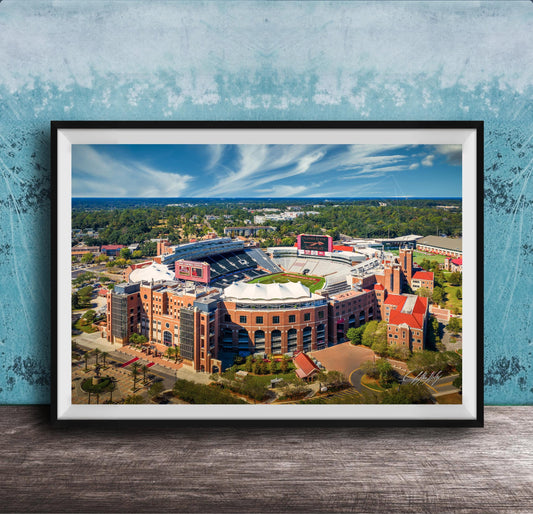 The image is a framed aerial view of a large sports stadium, showcasing its distinctive architecture and surrounding landscape.