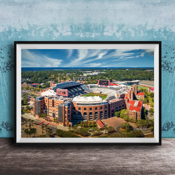 The image is a framed aerial view of a large sports stadium, showcasing its distinctive architecture and surrounding landscape.