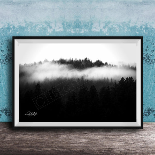 A black and white photograph of a forest landscape with misty mountains in the background.