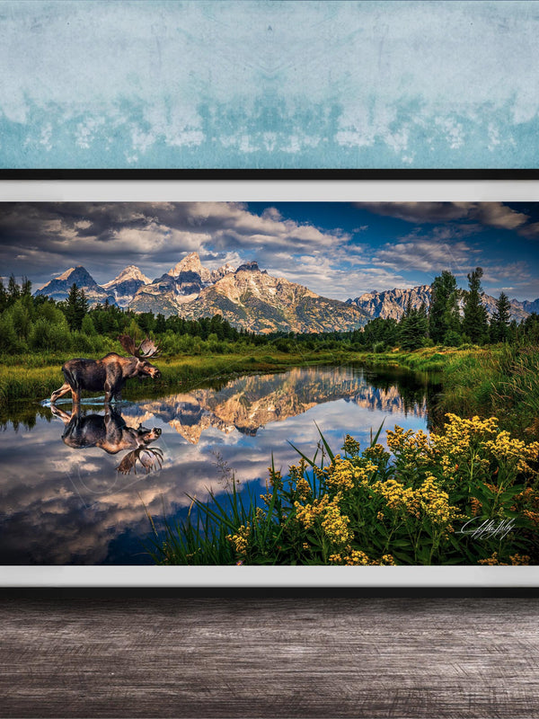 A framed photograph depicting a moose standing in a lake, with mountains and trees in the background.