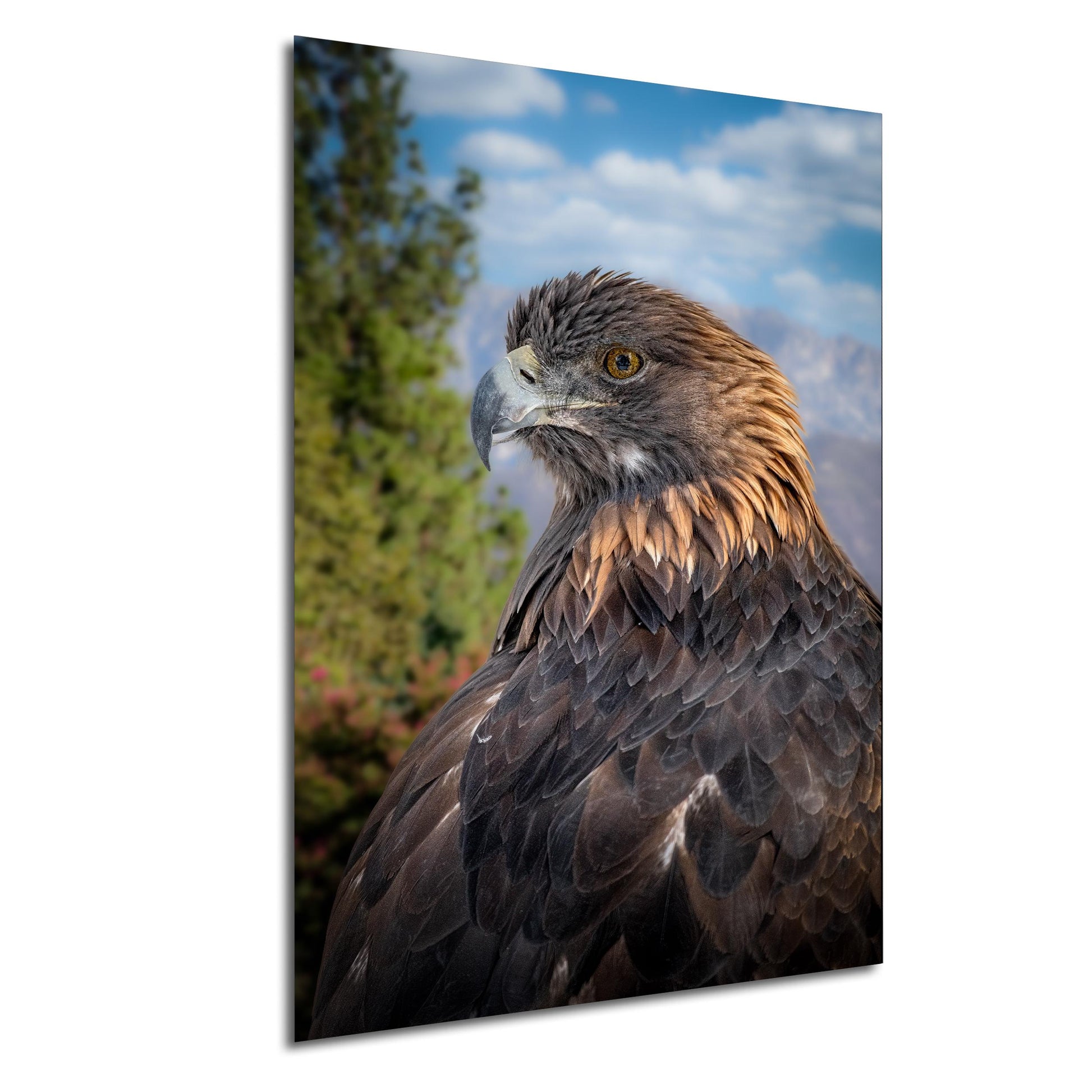 A majestic golden eagle with its piercing gaze and powerful wingspan is captured in a striking portrait against a backdrop of lush greenery and a clear blue sky.