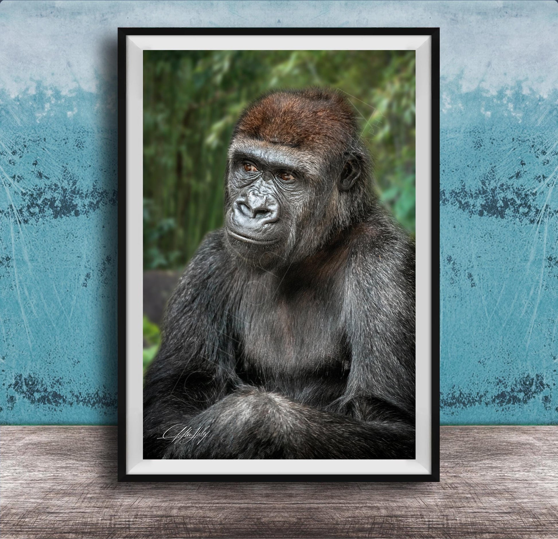gorilla photography, silverback wall art, uganda jungle print, wildlife fine art, african nature decor, primate photo art, rainforest wall decor, safari home artwork, jungle wildlife print, gorilla portrait art, bwindi forest photo, african wilderness decor, nature lover gift, travel wall art, exotic wildlife image