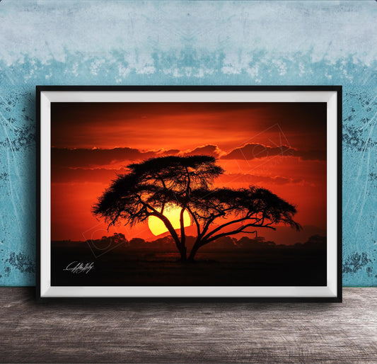 A framed photograph depicting a silhouetted tree against a vibrant sunset sky.