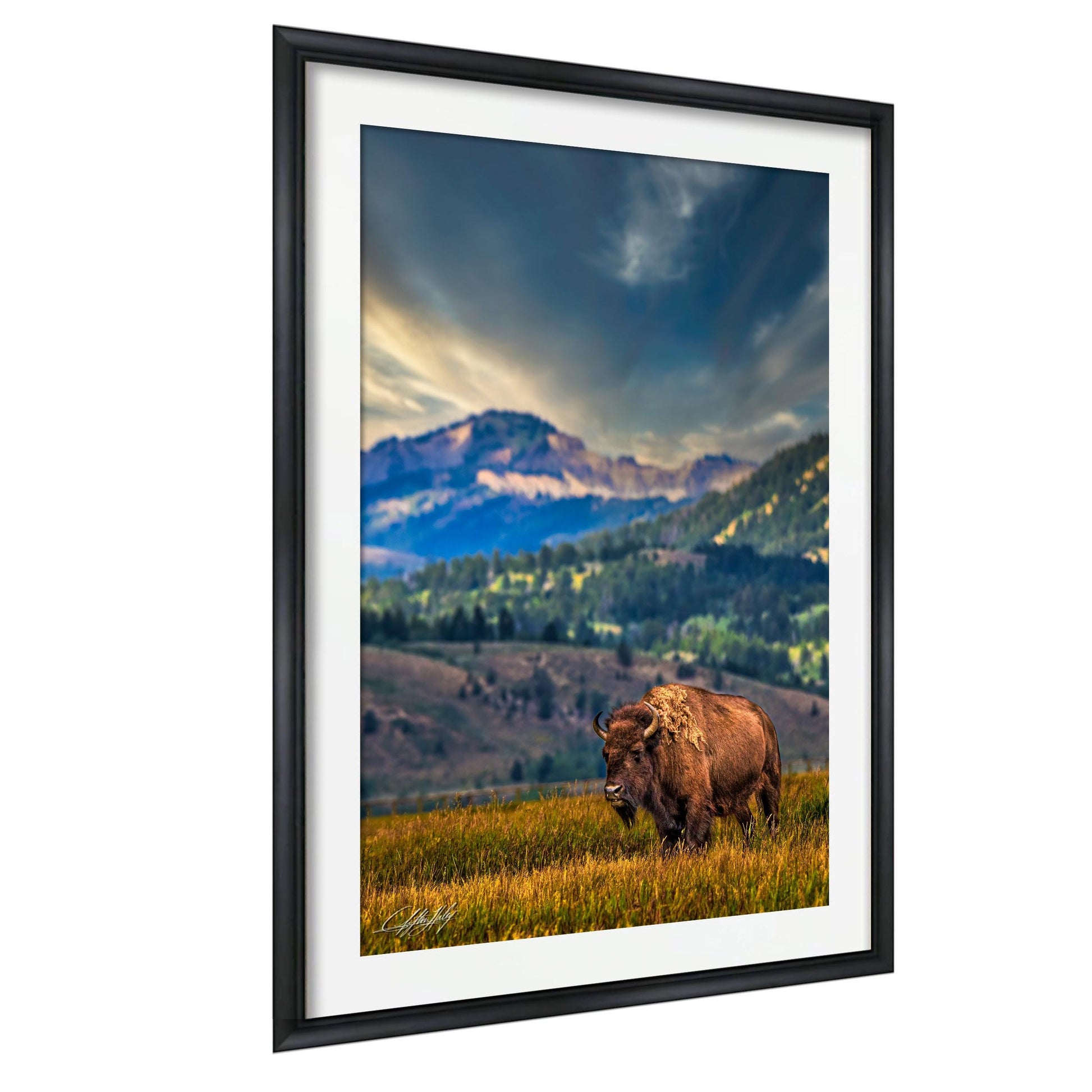A large bison stands in a grassy field, with mountains and a cloudy sky in the background.