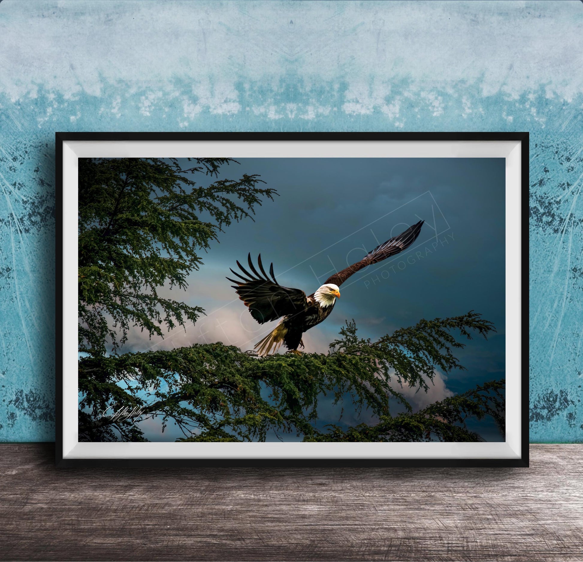 A framed photograph of a bald eagle in flight, with its wings spread wide, against a backdrop of trees and a cloudy sky.