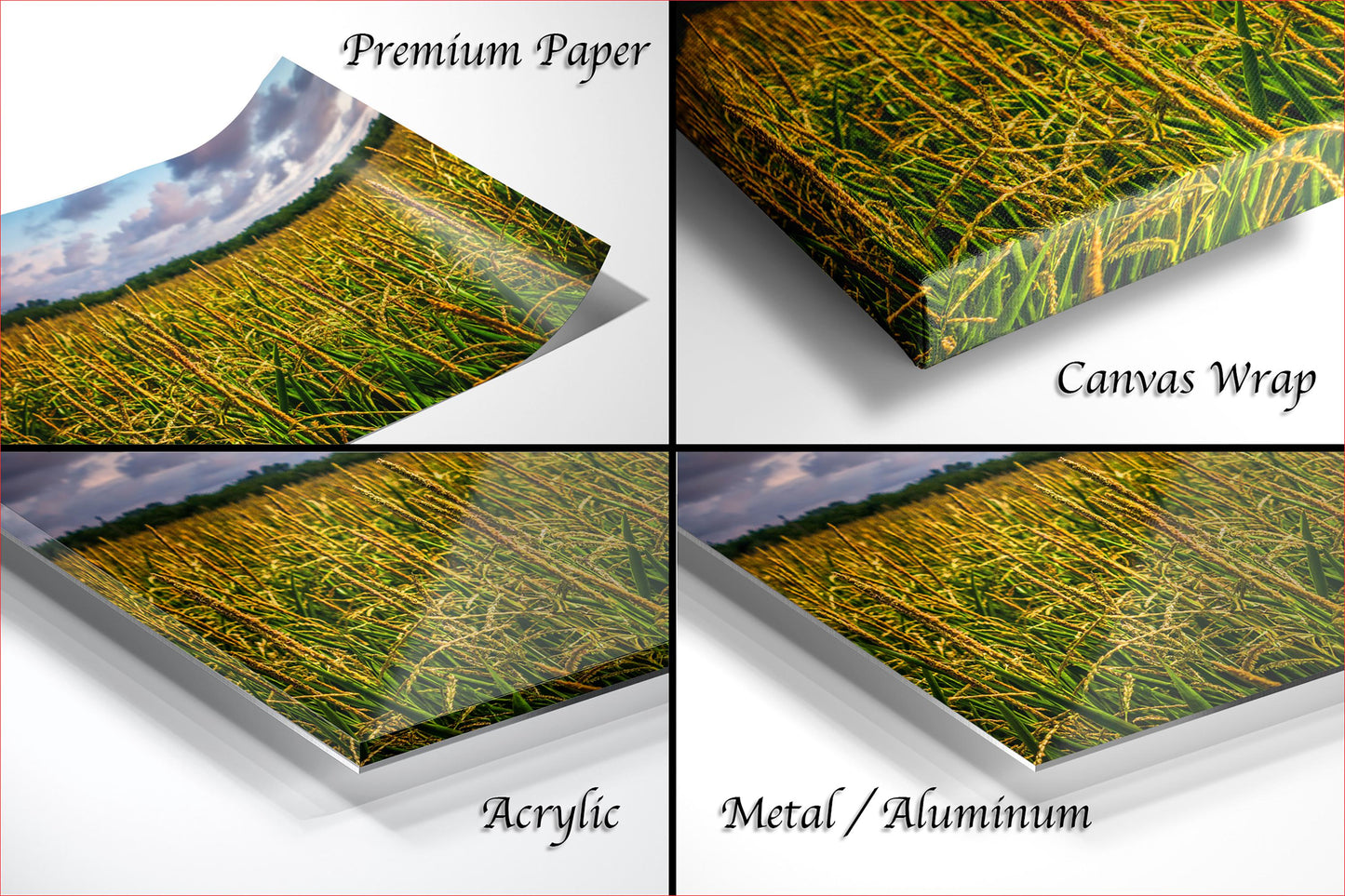 The image is a collage of four different images, each depicting a field of tall grass. The images are labeled as "Premium Paper", "Canvas Wrap", "Acrylic", and "Metal/Aluminum".