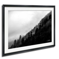 A black and white photograph of a forested mountain landscape with a misty, hazy atmosphere.