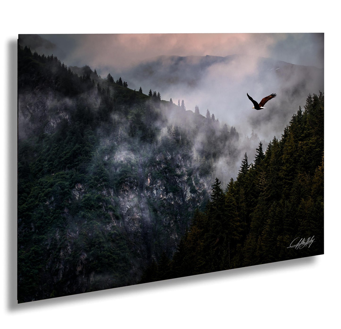 a majestic eagle soaring high above a misty mountain landscape, with the silhouette of trees and mountains visible in the background.