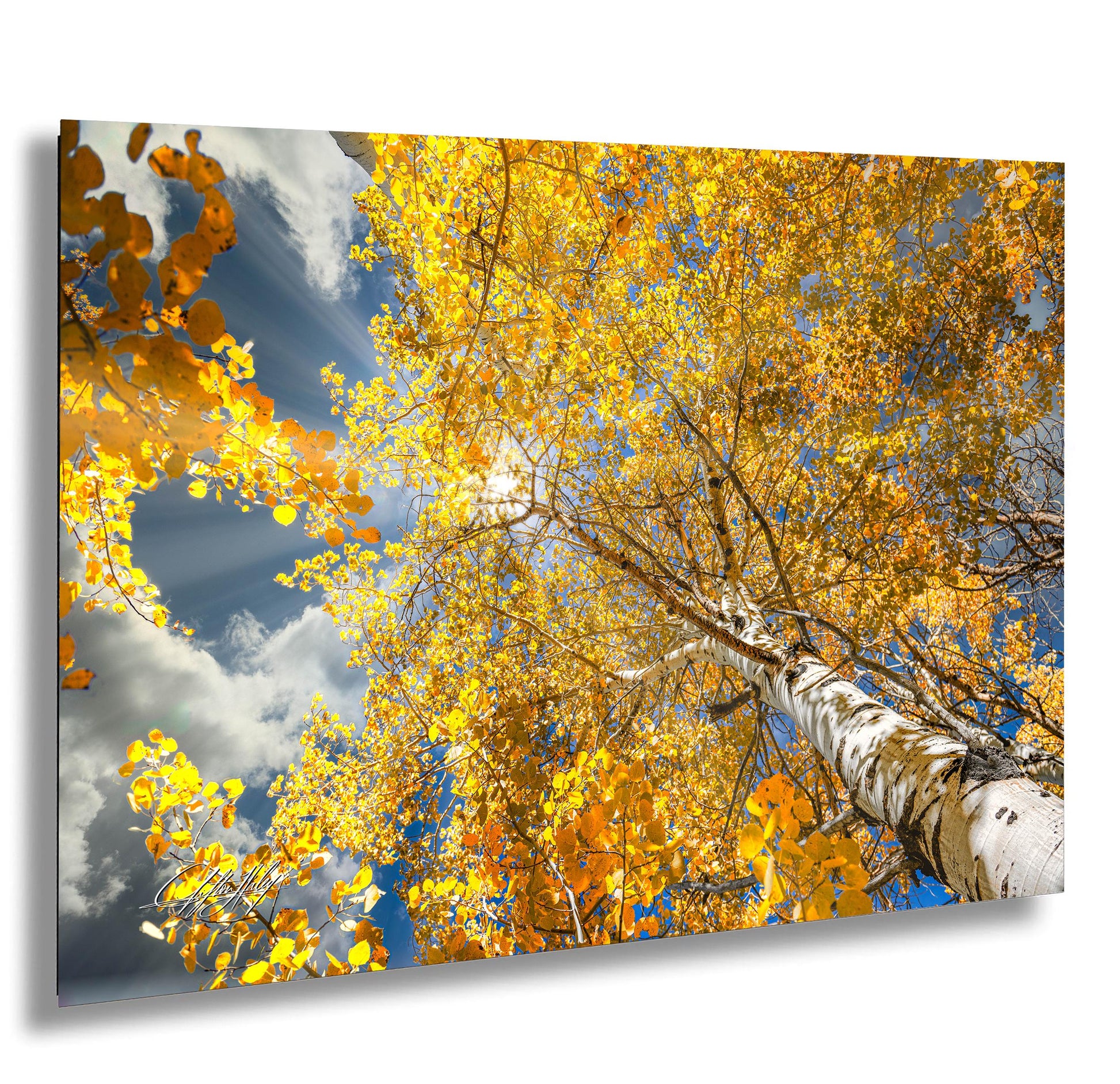 A vibrant autumn scene with a tree in full bloom, its branches adorned with yellow leaves against a backdrop of a blue sky with wispy clouds.